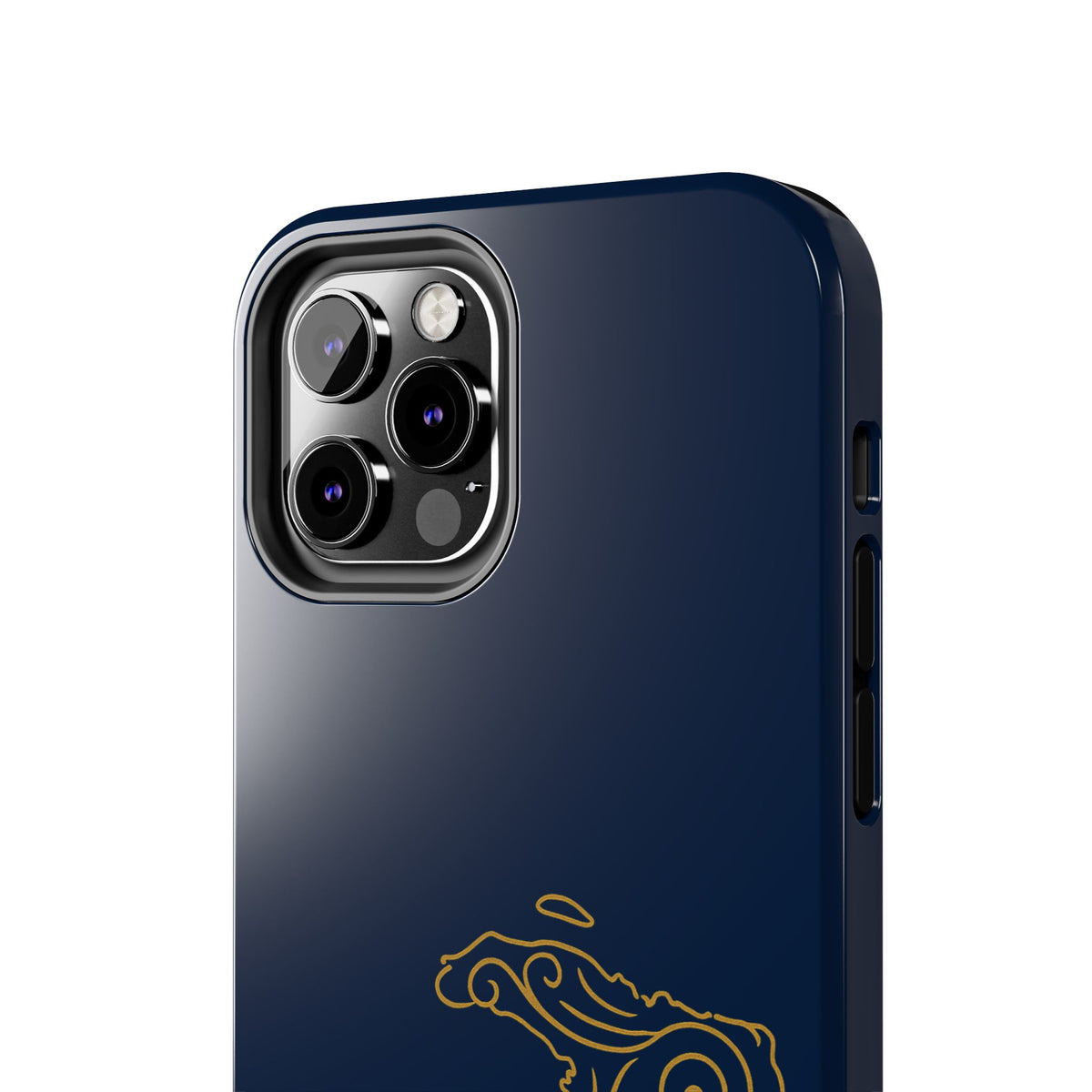Golden Map Case 509 Craft