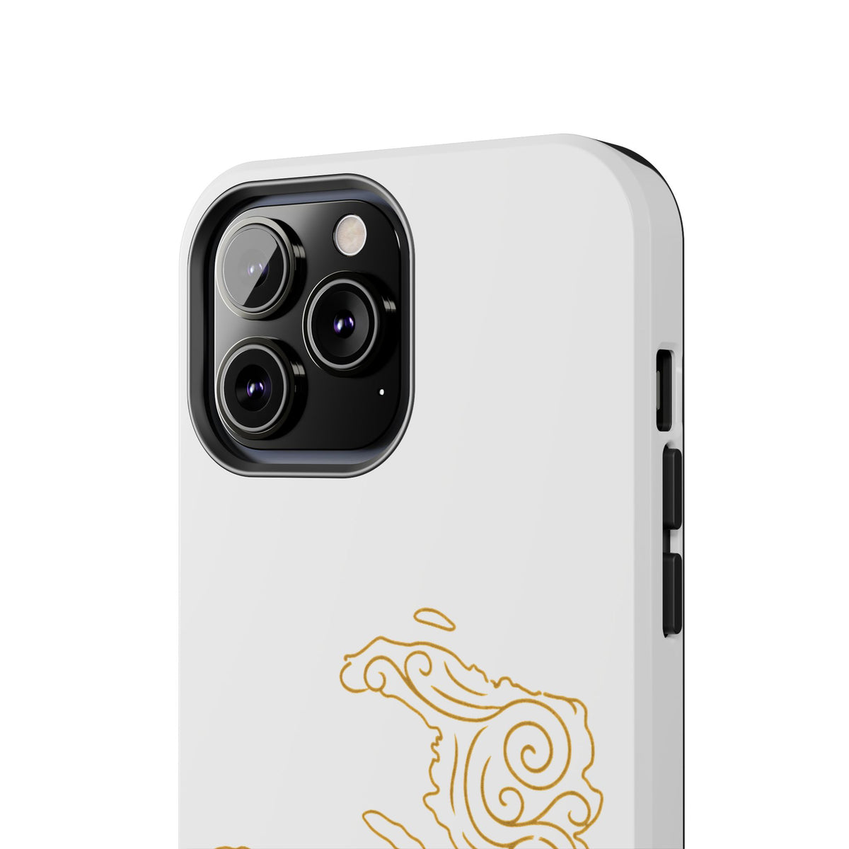 Golden Map Case 509 Craft