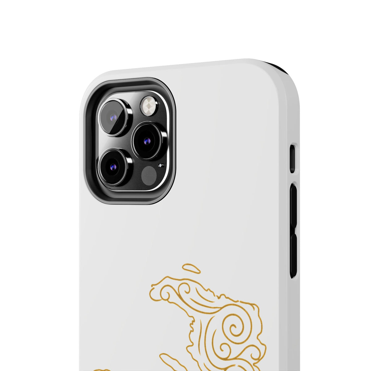 Golden Map Case 509 Craft